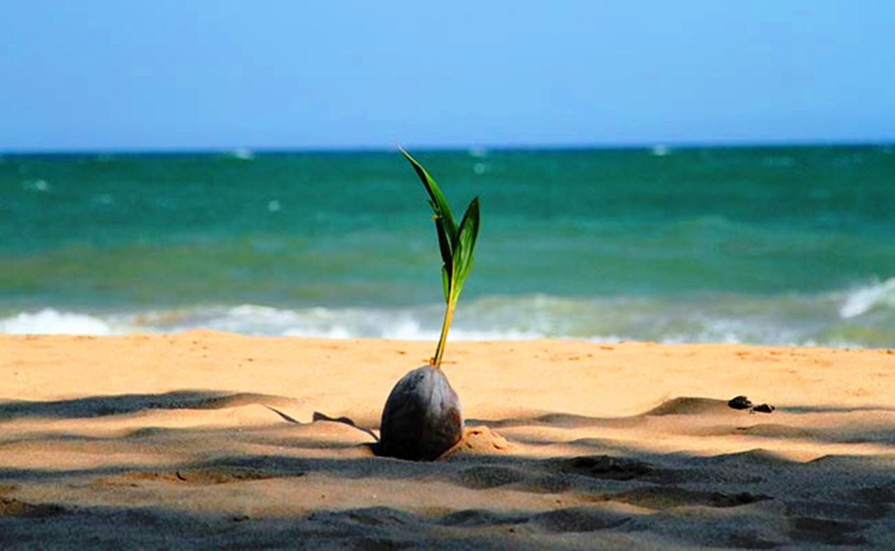 Chill Space Negombo Exterior photo